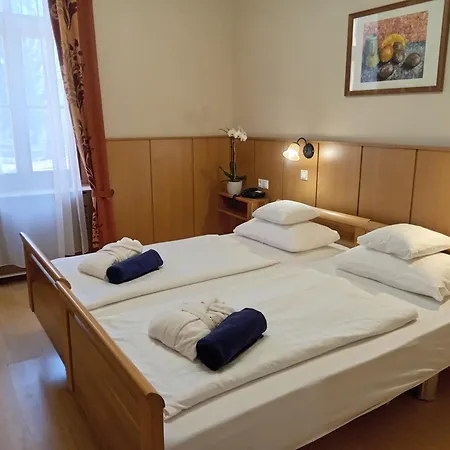 Fonix Wellness Ξενοδοχείο Csitár