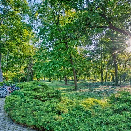 酒店 Fonix Wellness 4*