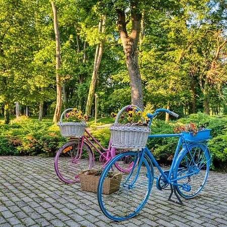 酒店 Fonix Wellness Csitár