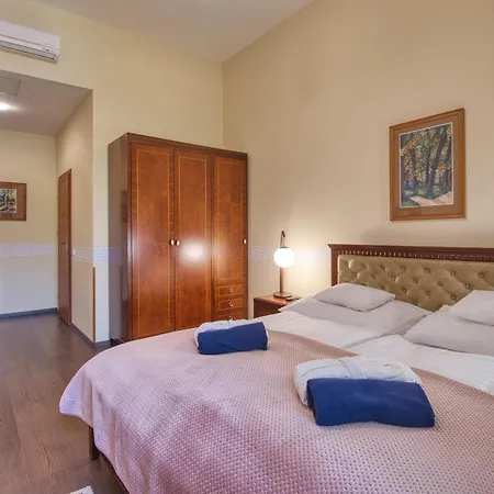 Fonix Wellness 酒店 Csitár