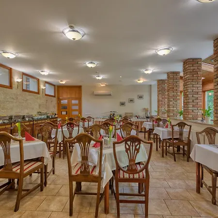 Fonix Wellness 4* Csitár