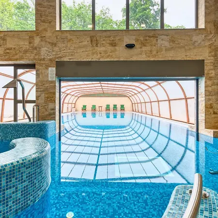 Fonix Wellness Hotel 4*