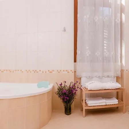 מלון Fonix Wellness 2*