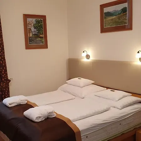 Fonix Wellness 2* Csitár