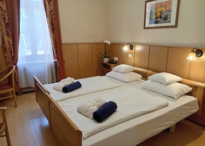 Fonix Wellness Hotel Csitár
