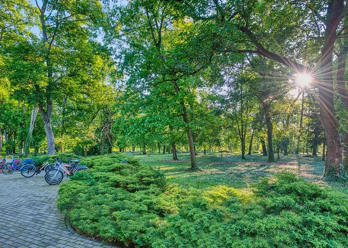Отель Fonix Wellness Resort 4*