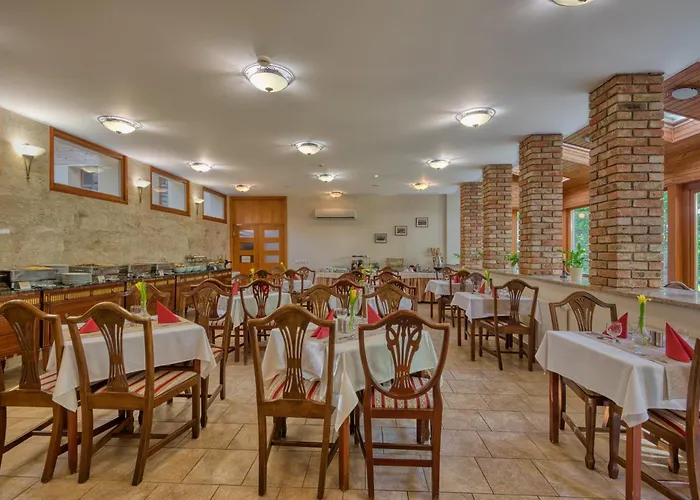 Fonix Wellness 4* Csitár